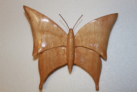 Motýl 